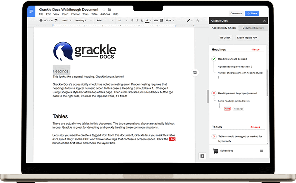 Screenshot of Grackle Docs accessibility check panel